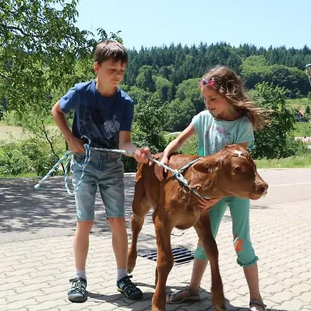 Séjour à la ferme Kasimir Hof Seebach