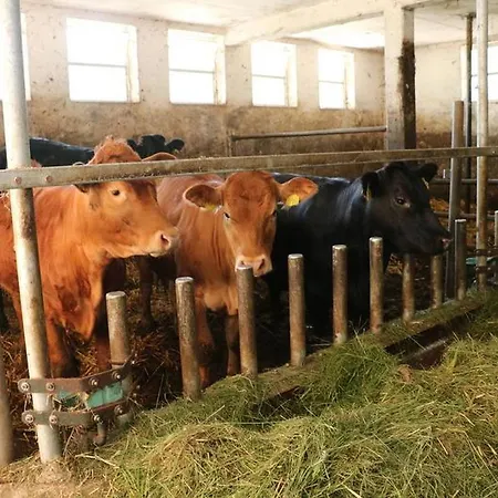 Séjour à la ferme Kasimir Hof Seebach