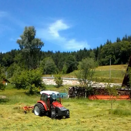 Kasimir Hof * Seebach