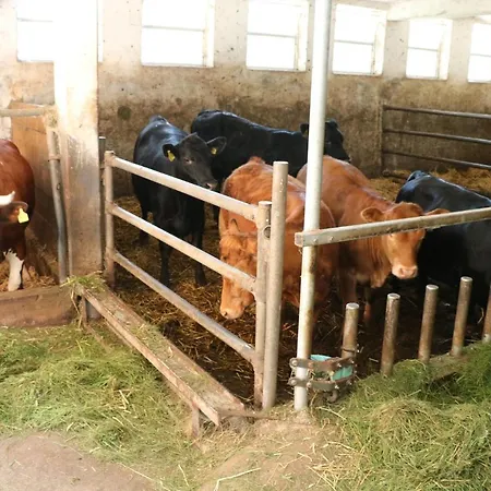 Séjour à la ferme Kasimir Hof Seebach